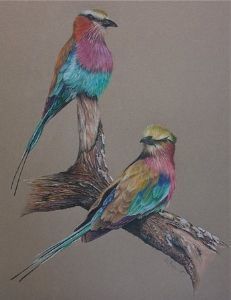 "Birds"