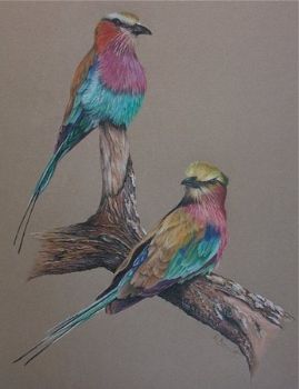 "Birds"