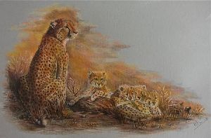 "Cheetahs"