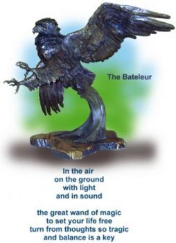 "Bateleur Eagle (Life Size)"