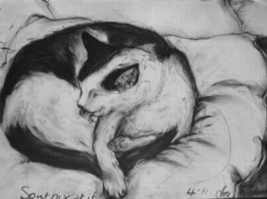 "Cat Sputnix"