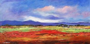 "Country Space"