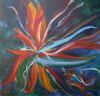 "Strelitzia Impression"