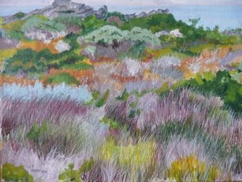 "Betty's Bay Dune Grass"