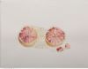 "Grapefruit in flat"