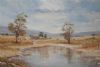 "Farm Dam in the Karoo"