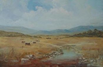 "Langkloof Cattle"