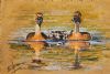 "Fulvous Duck Family"