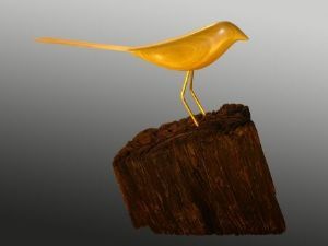 "Yellow Wood Shama"