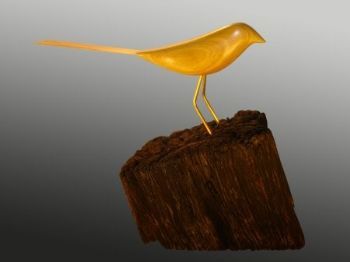 "Yellow Wood Shama"