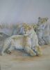 "Alerted lioness"