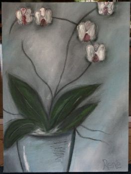 "Grey Orchids"
