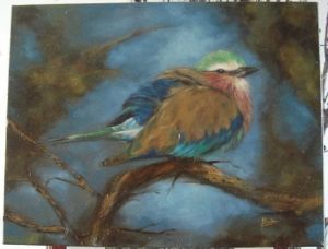 "Lilac Breasted Roller Bird"
