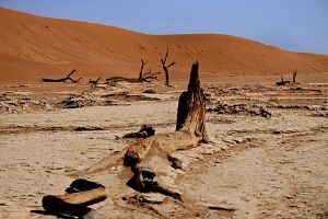 "Deadvlei"