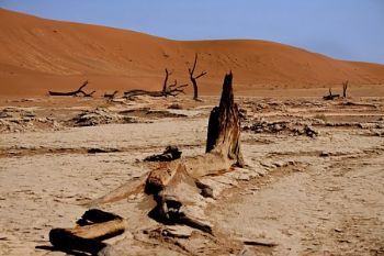"Deadvlei"