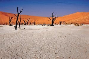 "Deadvlei"