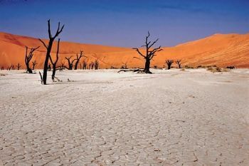 "Deadvlei"
