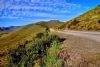 "Karoo"