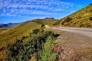 "Karoo"