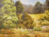 "Eastern Cape African Landscape"