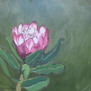 "Fynbos 54, Protea Dracomontana"