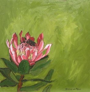 "Fynbos 56, Protea Eximia"