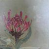"Fynbos 59, Protea Roupelliae"
