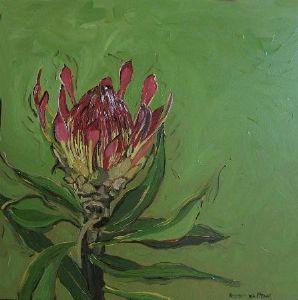 "Fynbos 60, Protea Roupelliae/Lepelsu"