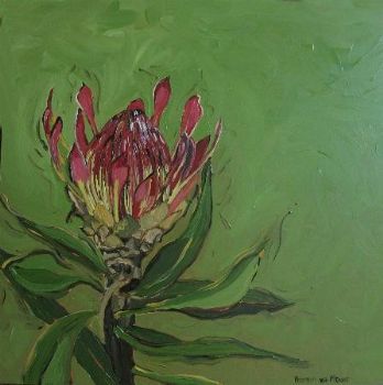 "Fynbos 60, Protea Roupelliae/Lepelsu"