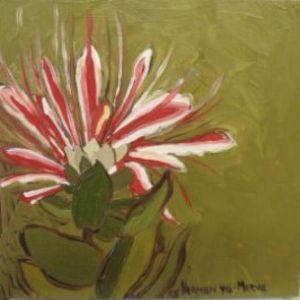 "Fynbos 46, Protea Aurea"