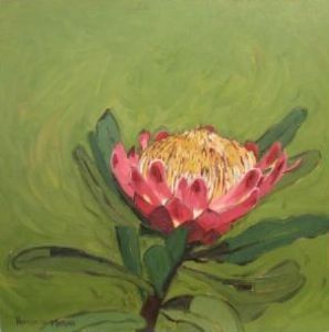 "Fynbos 47, Protea Caffra"