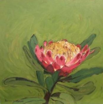 "Fynbos 47, Protea Caffra"