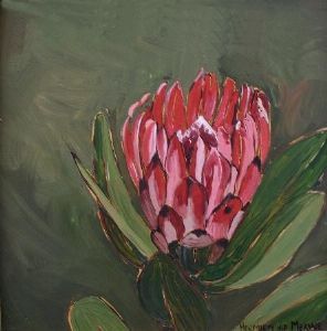 "Fynbos 49, Protea Compacta"