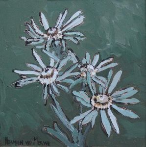 "Fynbos 74, Leucadendron Album"