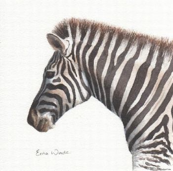 "Zebra II (portrait)"
