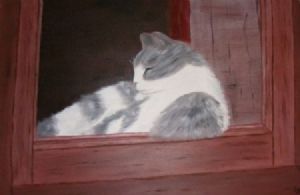 "Cat in Window"