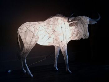 "Wildebeest, Gnu"