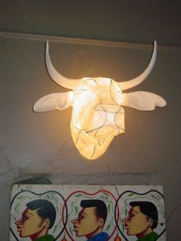 "Spanish bull"