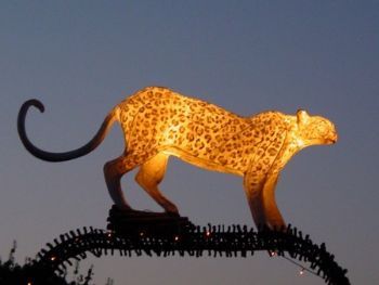 "Leopard Life Size"