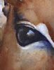 "Impala's Soul Detail"