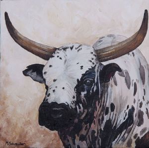 "Nguni 1"