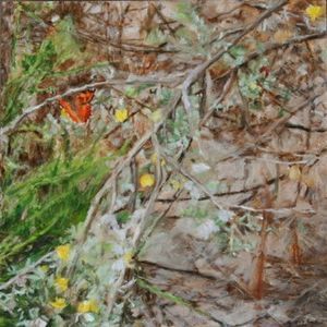 "Sondagsrokkie(butterfly) and Fynbos"