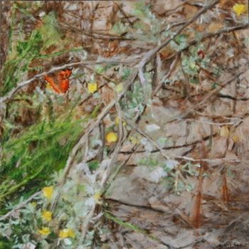 "Sondagsrokkie(butterfly) and Fynbos"
