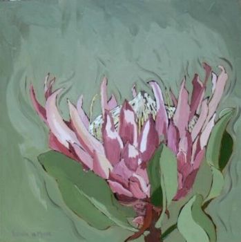 "Fynbos 71, Giant Protea"