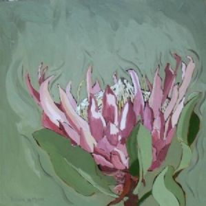 "Fynbos 71, Giant Protea"