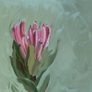 "Fynbos 70, Protea Compacta"