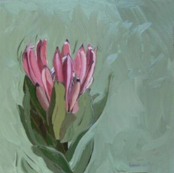 "Fynbos 70, Protea Compacta"