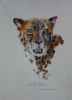 "Cheetah"