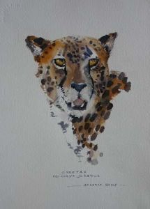 "Cheetah"