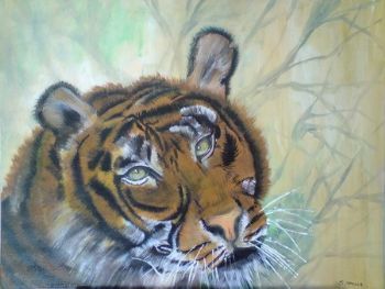 "In The Wild"